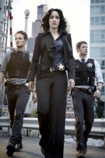 Watch The Chicago Code 123MoviesFree